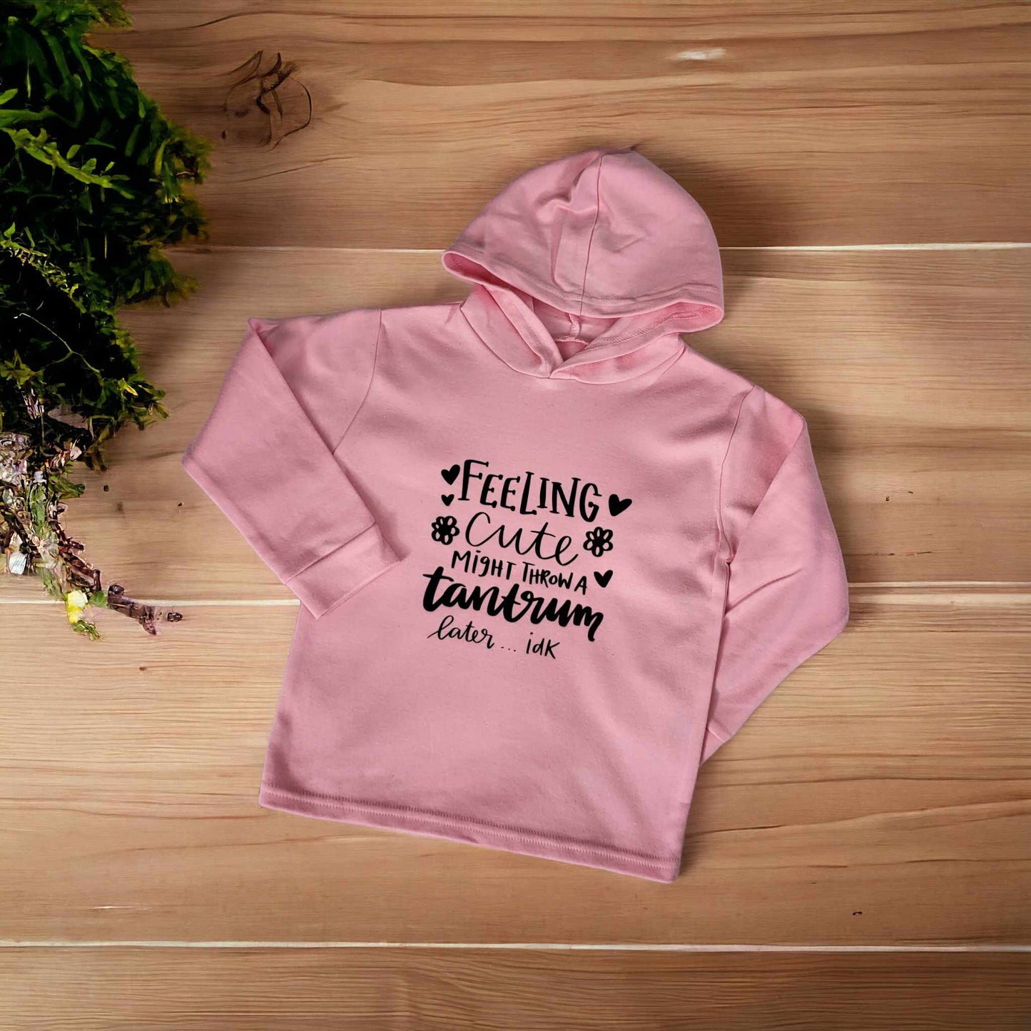 Feeling Cute Hooded Tshirt